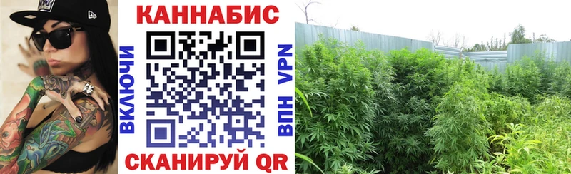 Виды наркоты Шарья Cocaine  Alpha PVP  Гашиш  Марихуана  Меф 