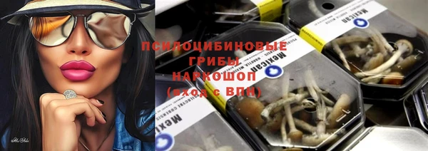 a pvp Алексин