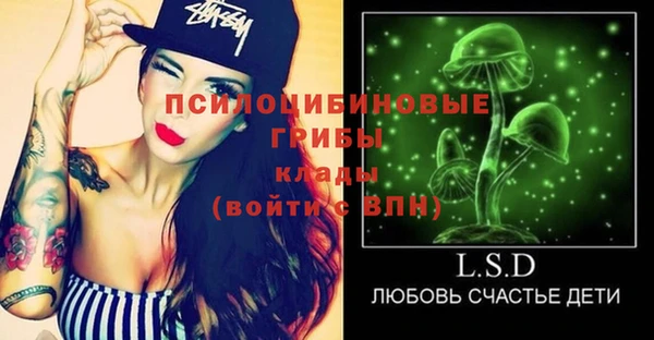 a pvp Алексин