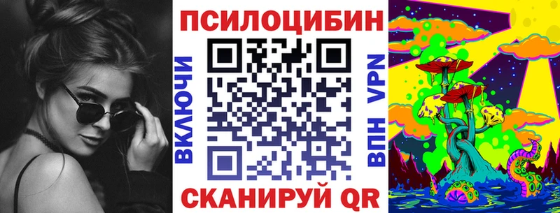 Галлюциногенные грибы Psilocybe  ссылка на мегу как войти  Шарья 